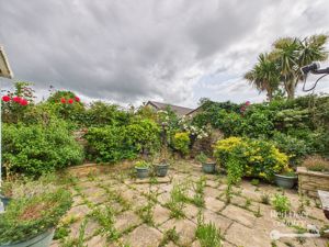 Garden- click for photo gallery
